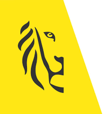 Vlaamse overheid